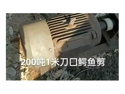200噸1米刀囗鱷魚(yú)剪，1萬(wàn)多塊錢(qián)圖3