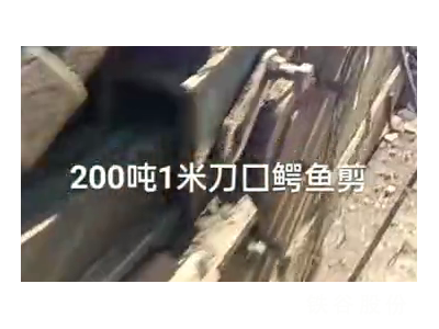 200噸1米刀囗鱷魚(yú)剪，1萬(wàn)多塊錢(qián)圖2