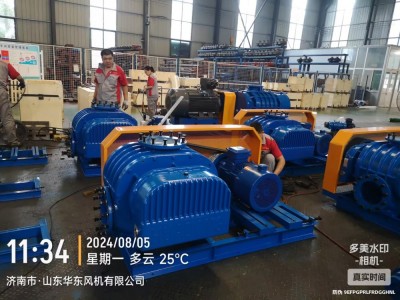 羅茨鼓風(fēng)機(jī)圖2