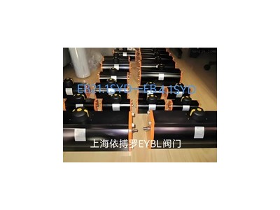 德國EBRO依博羅Z011-A電動蝶閥收發(fā)貨圖4