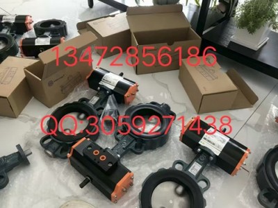 規(guī)格齊全速發(fā)貨德國依博羅EB21.1SYD-EB4.1SYD執(zhí)行器圖2