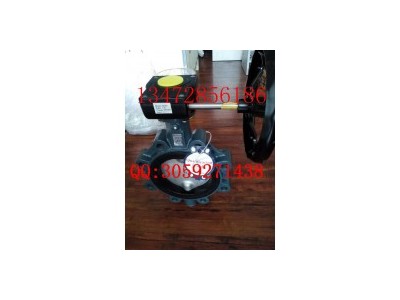 現(xiàn)貨供應(yīng)德國依博羅蝶閥Z011-A DN350規(guī)格齊全速發(fā)貨圖5