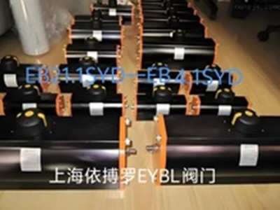 原裝正品Z011-A型德國(guó)依博羅蝶閥 DN40-DN500速發(fā)貨圖4