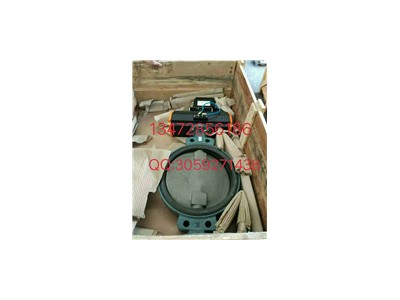 銷售原裝正品德國(guó)EBRO Z011-A型氣動(dòng)軟密封蝶閥圖3