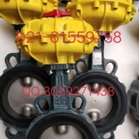 原裝正品 德國依博羅EBRO氣動扇形蝶閥規(guī)格齊全