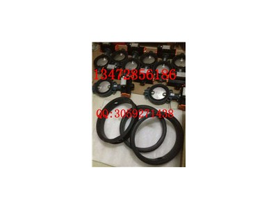 德國依博羅高性能蝶閥HP111 DN40-DN500規(guī)格齊全圖3