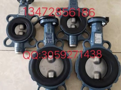 德國依博羅高性能蝶閥HP111 DN40-DN500規(guī)格齊全圖4