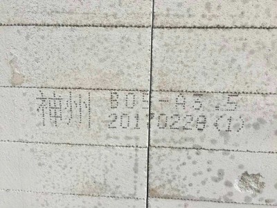 水泥加氣磚噴印 大字符噴碼機(jī) 即噴即干圖2