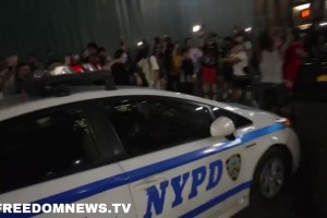 尼克斯球迷徹底陷入瘋狂