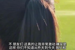 現(xiàn)場(chǎng)直擊！女記者成功引起C羅注意，下一秒直接激動(dòng)到缺氧！