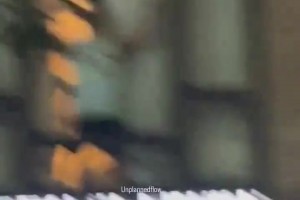 刺蜜以為自己酒店二樓房間安全嘚瑟 然后尼克斯球迷爬上來(lái)了