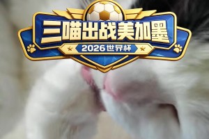 比章魚保羅還準(zhǔn)？詹俊老師的貓咪小籠包在線預(yù)測，三喵出戰(zhàn)！